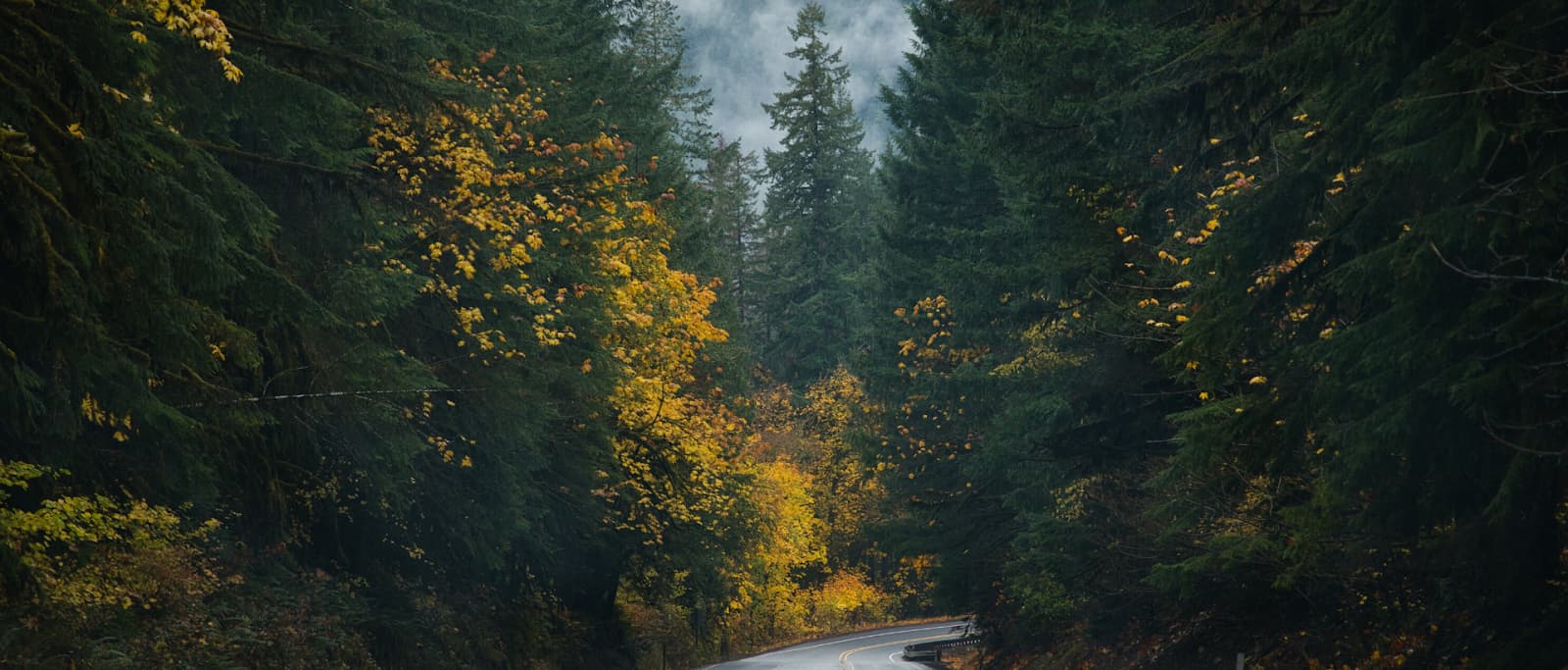 Highway 26 winding through the forest below Mt. Hood near Sandy, Oregon
